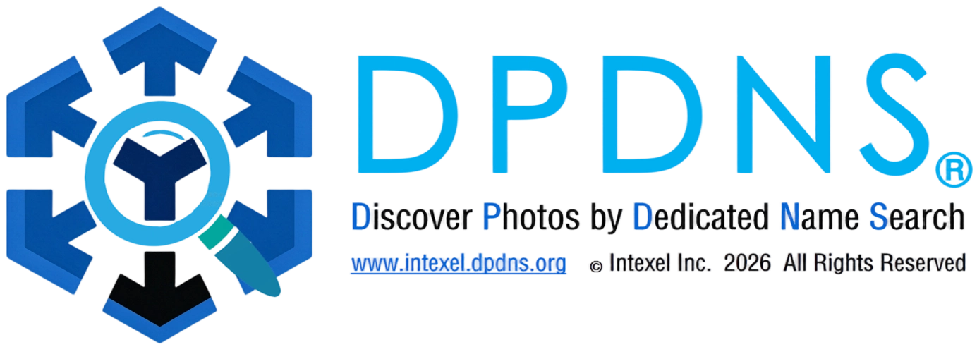 DPDNS logo